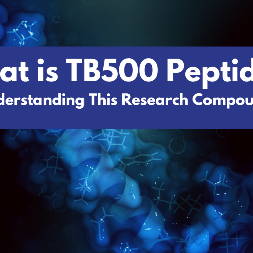 What is TB500 Peptide? Understanding This Research Compound